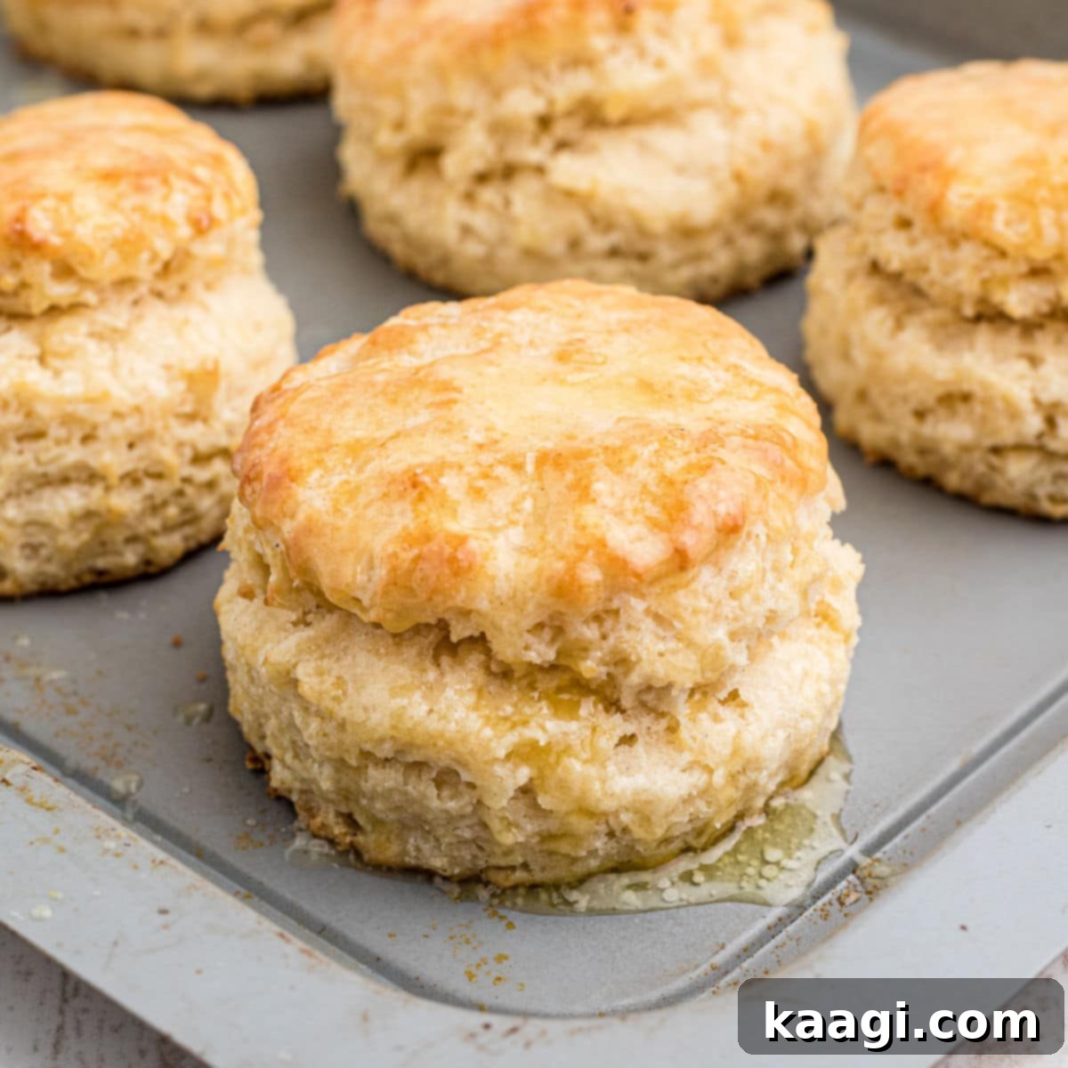 Close up shot of an old fashioned Southern biscuits recipe with butter brushed on top.