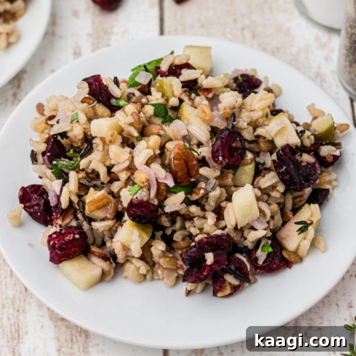 Close up of a dished out plate of cranberry apple rice pilaf, showcasing its colorful ingredients.