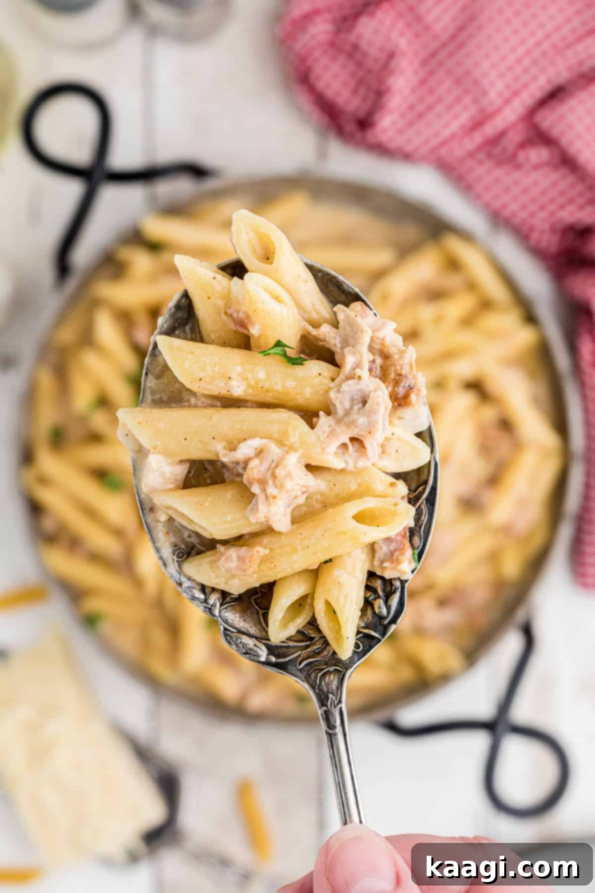 A spoonful of creamy one pot turkey pasta is lifted from the pot, showcasing the rich sauce and tender turkey.