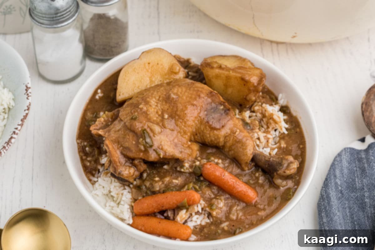 bowl of rice topped with chicken stew, whole leg with carrots and potatoes